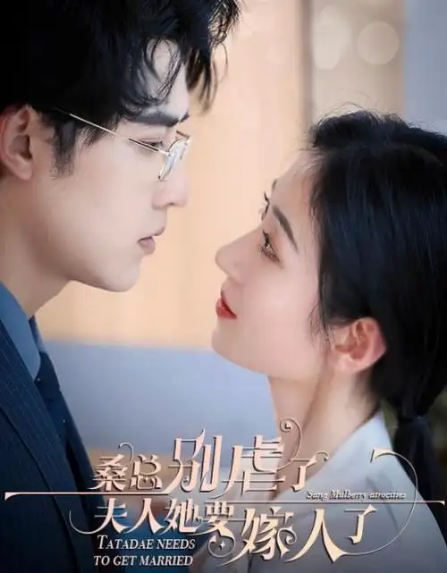 长夜将明热播电视剧全集手机免费在线观看